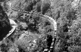 One of the last freight trains, Karangahake Gorge, c 1974.